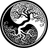 GigaFit